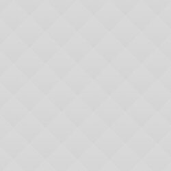 Steve Clark Steve Clark