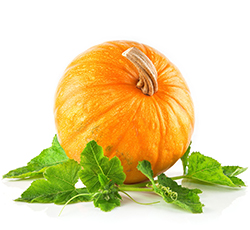 Pumpkin